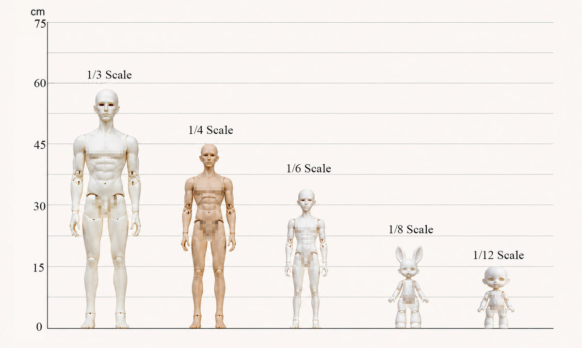 BJD Doll Size Guide | Understanding BJD Scales