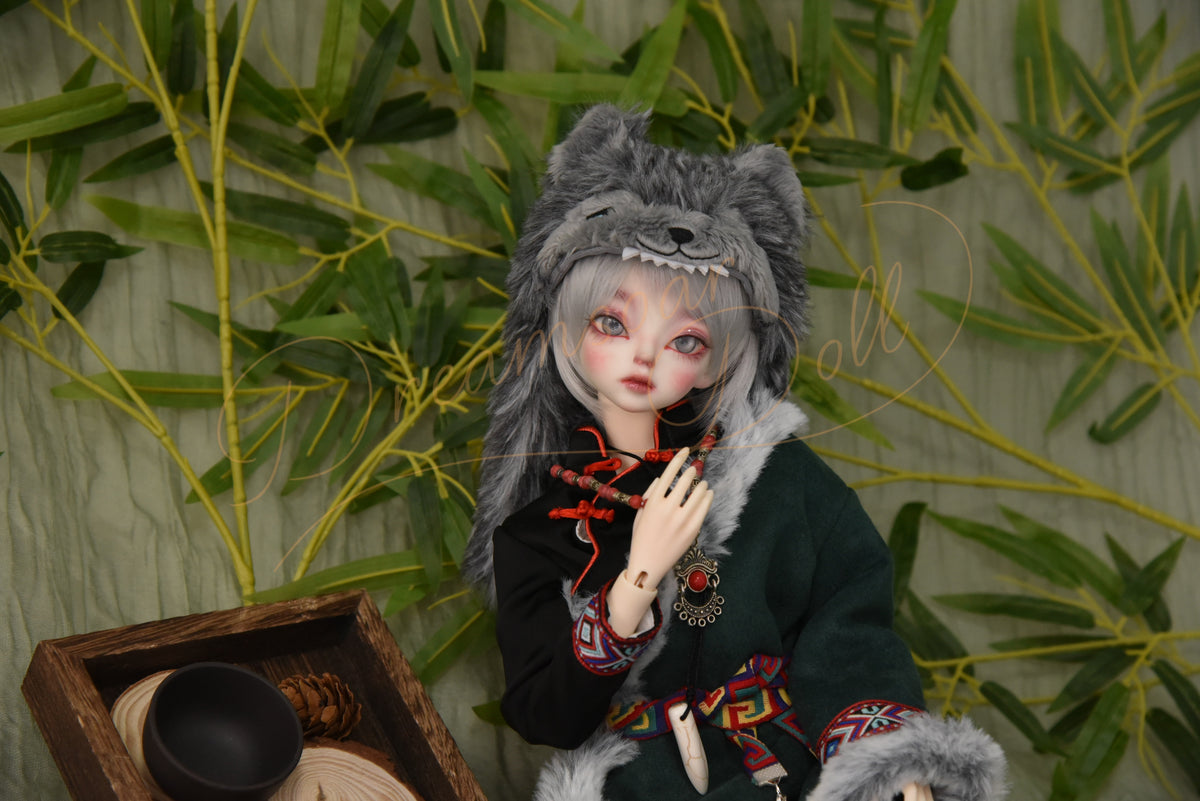 What Are BJD Dolls? A Complete Beginner’s Guide