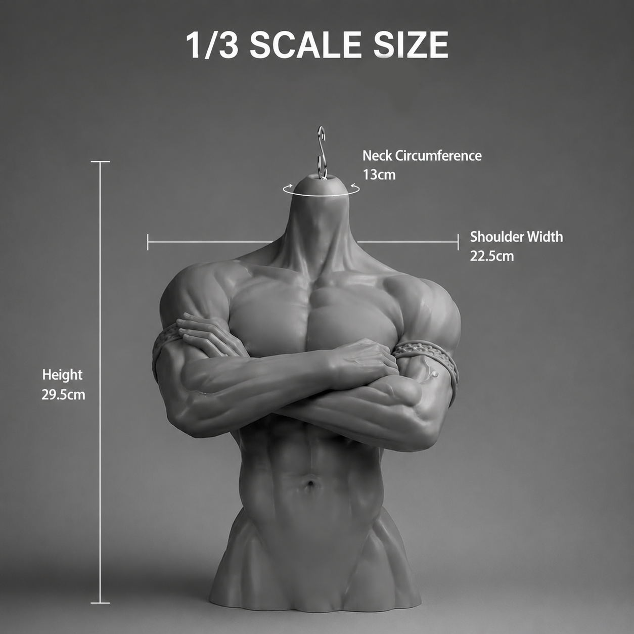 1/3 75cm Uncle BJD resin bust stand with size details including neck circumference, shoulder width and height, head not included