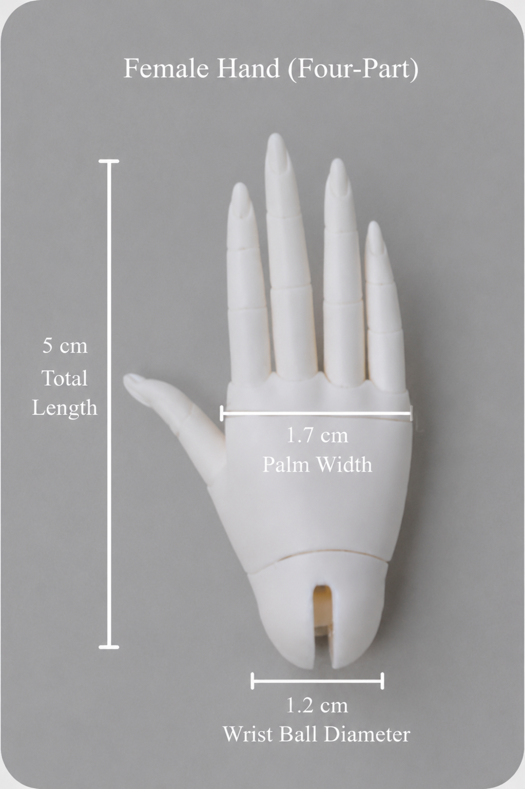 1/4 BJD female jointed hands size chart with wrist ball measurement