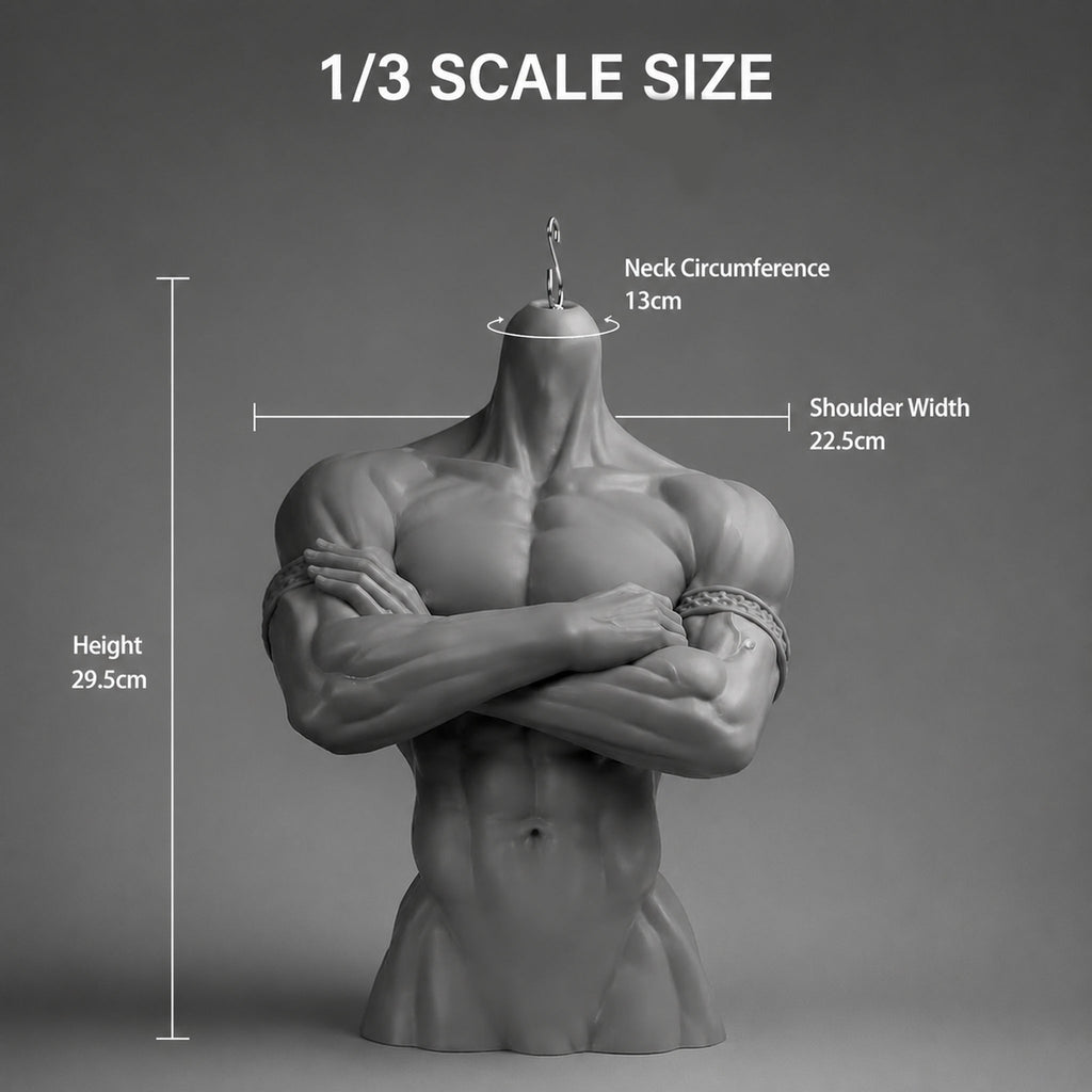 1/3 scale male BJD bust stand size chart, 29.5 cm tall with 22.5 cm shoulders and 13 cm neck circumference
