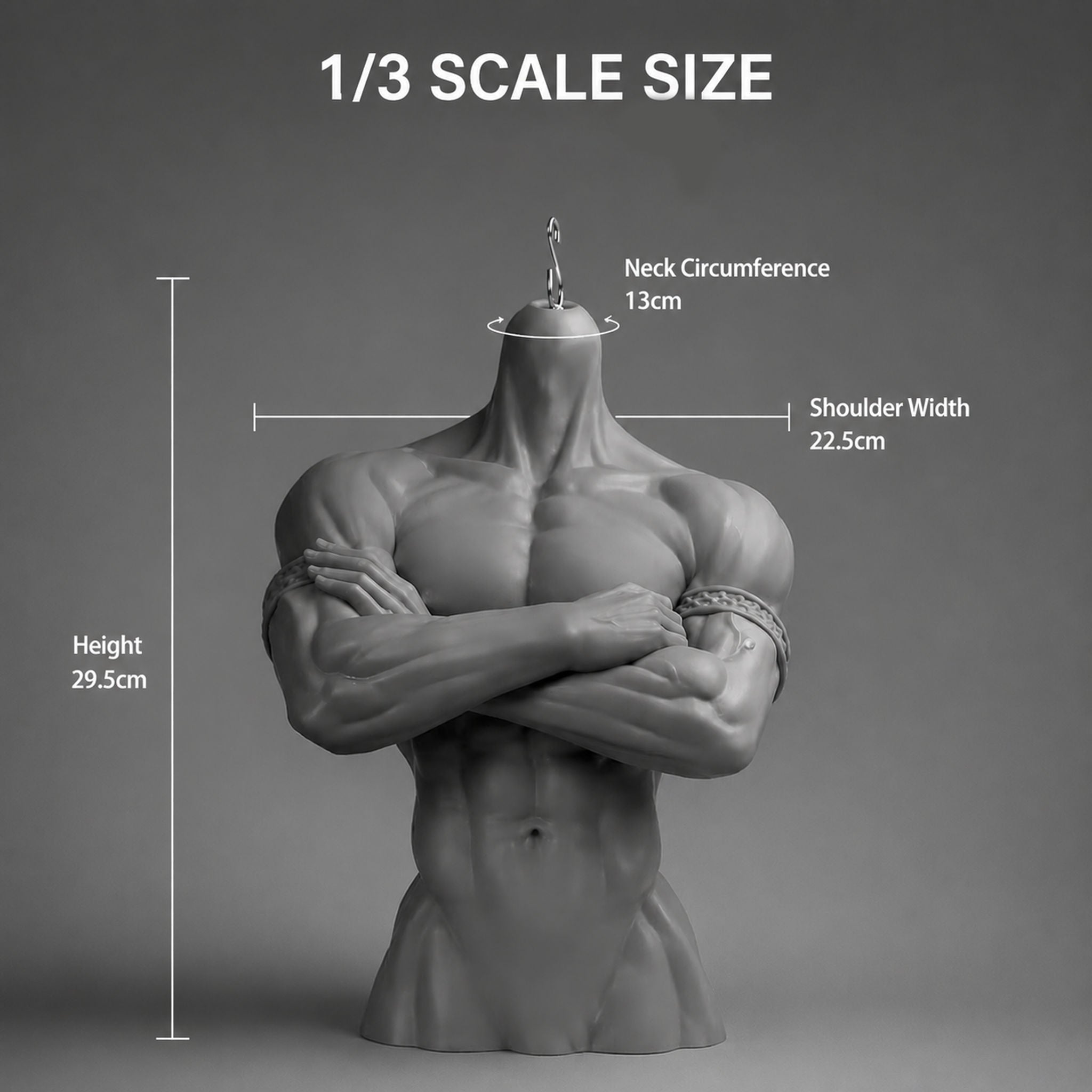 1/3 scale male BJD bust stand size chart, 29.5 cm tall with 22.5 cm shoulders and 13 cm neck circumference