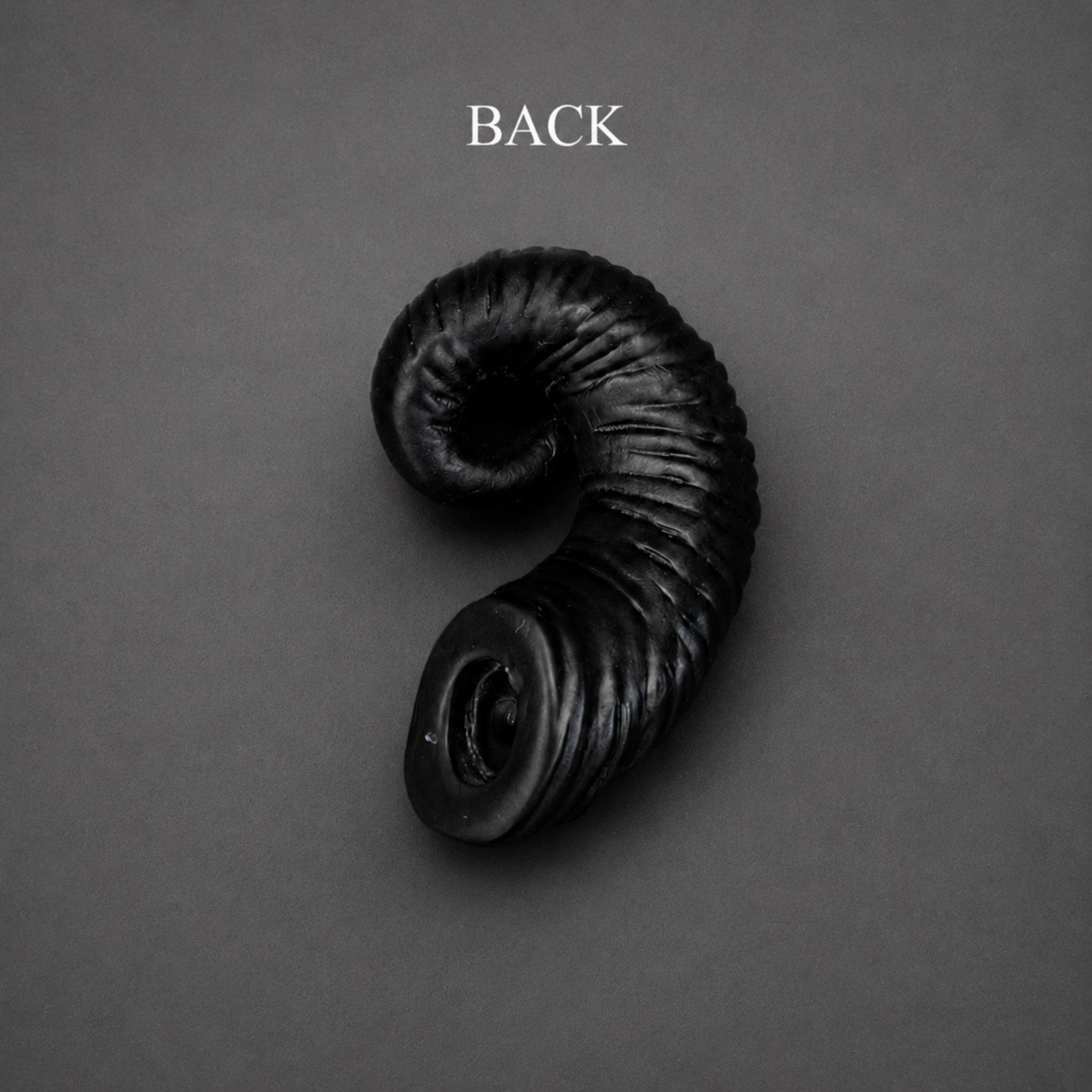 BJD doll ram horns accessory side view, black curved horns with sculpted ribbed texture