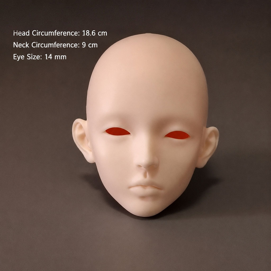 1/3 Scale Female BJD Head Only Unpainted Blank Resin Head 18.6 cm Head Circumference 14mm Eyes
