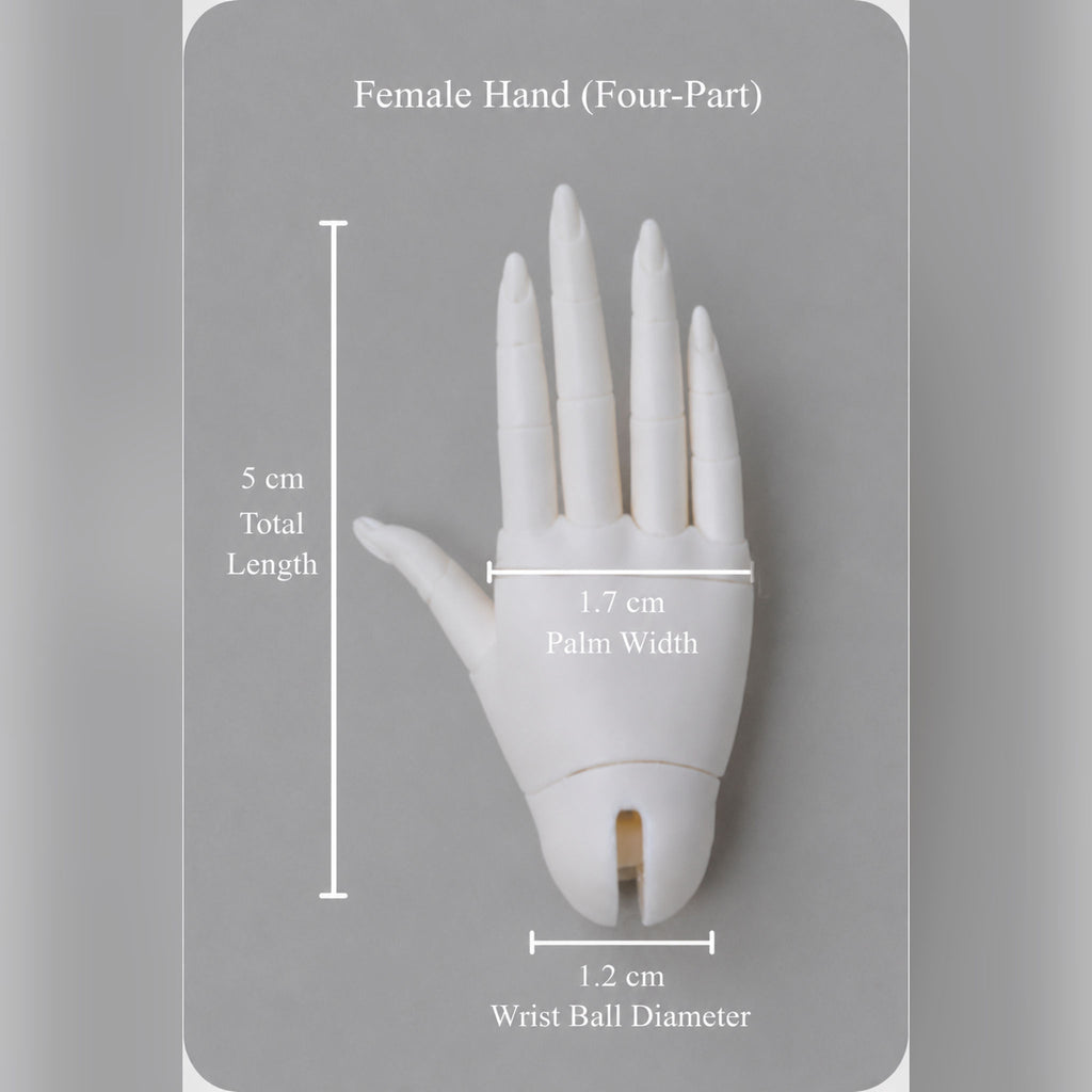 1/4 Scale BJD four-part jointed female hands size comparison, 5cm hand length with palm width and wrist ball diameter measurements