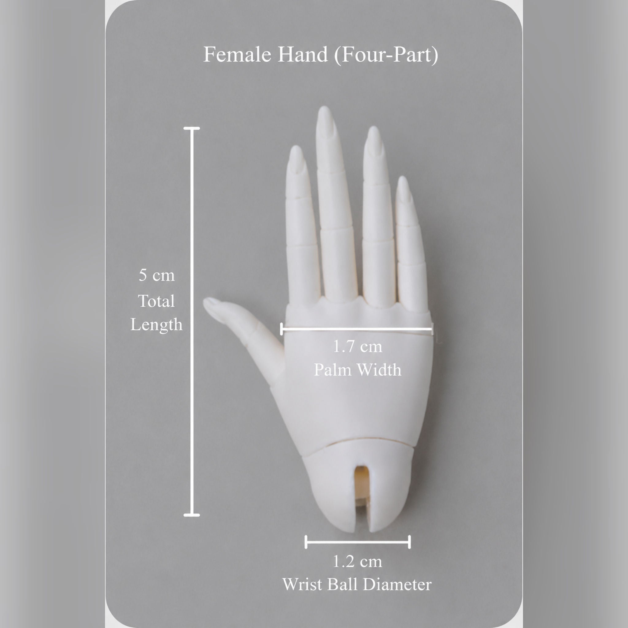1/4 Scale BJD four-part jointed female hands size comparison, 5cm hand length with palm width and wrist ball diameter measurements