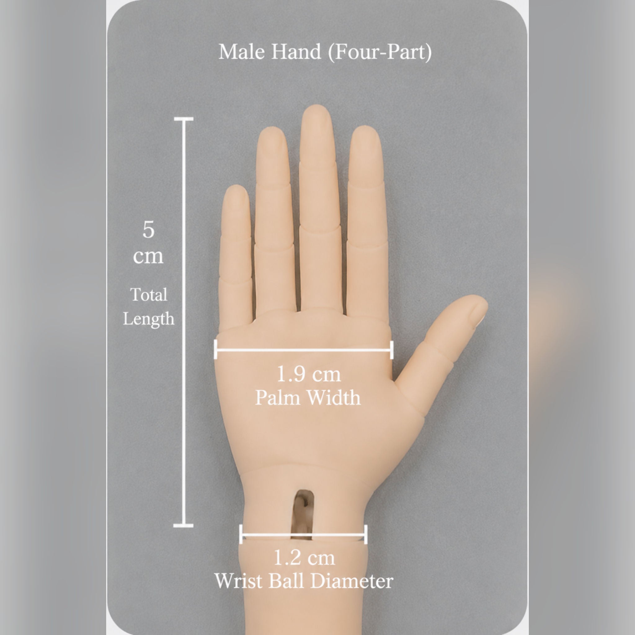 1/4 Scale BJD four-part jointed hands dimensions, male hand measurements for compatible ball-jointed dolls