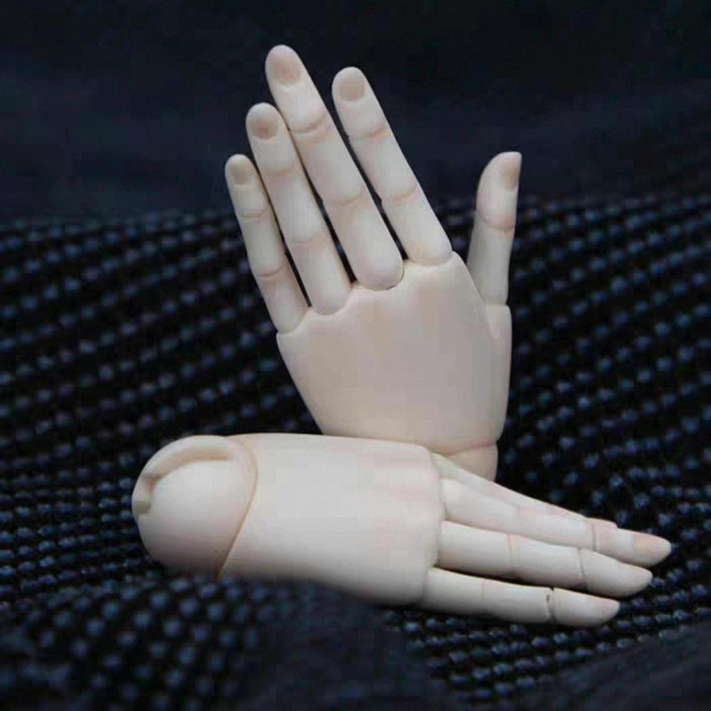 1/4 scale BJD jointed hands front and back view with articulated fingers