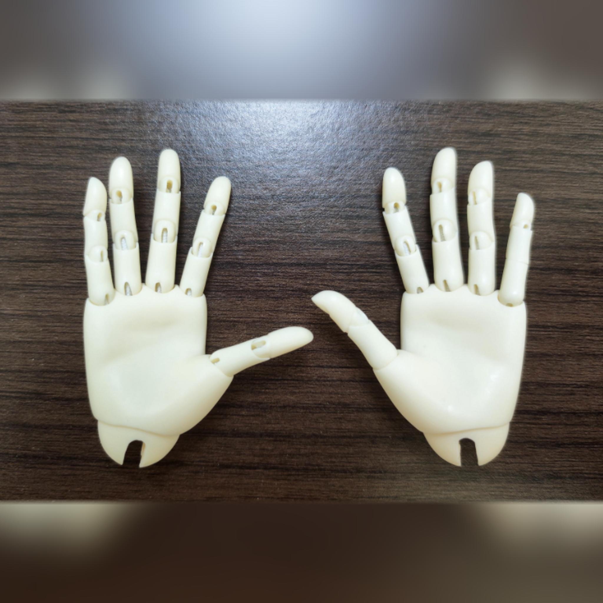 1/4 scale BJD jointed hands front and back comparison with flexible finger joints