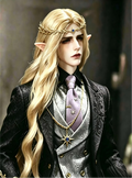 75cm BJD male doll with fantasy style resin body and long hair