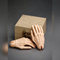 Large BJD Eagle Jointed Hands Display with Decorative Storage Box