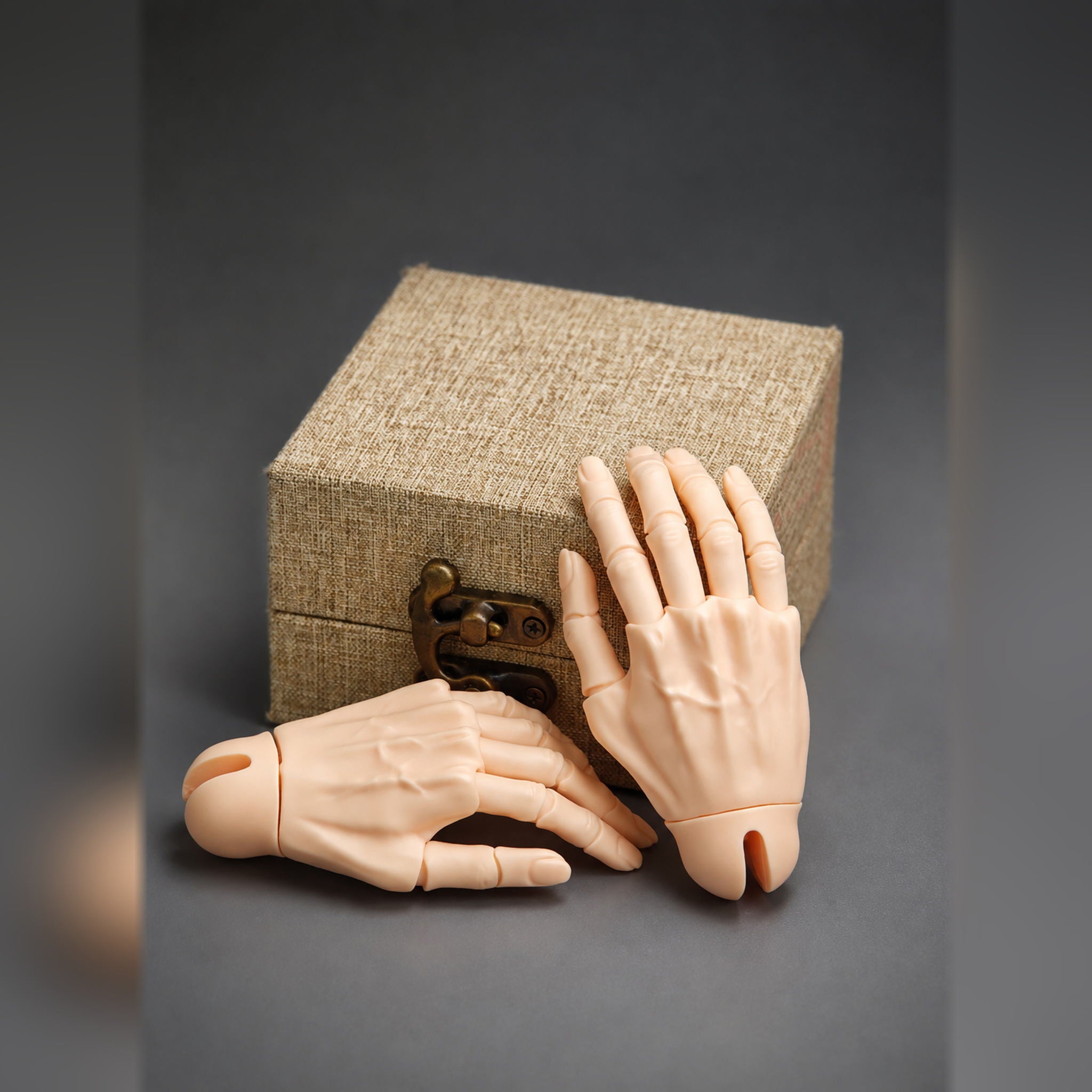 Large BJD Eagle Jointed Hands Display with Decorative Storage Box
