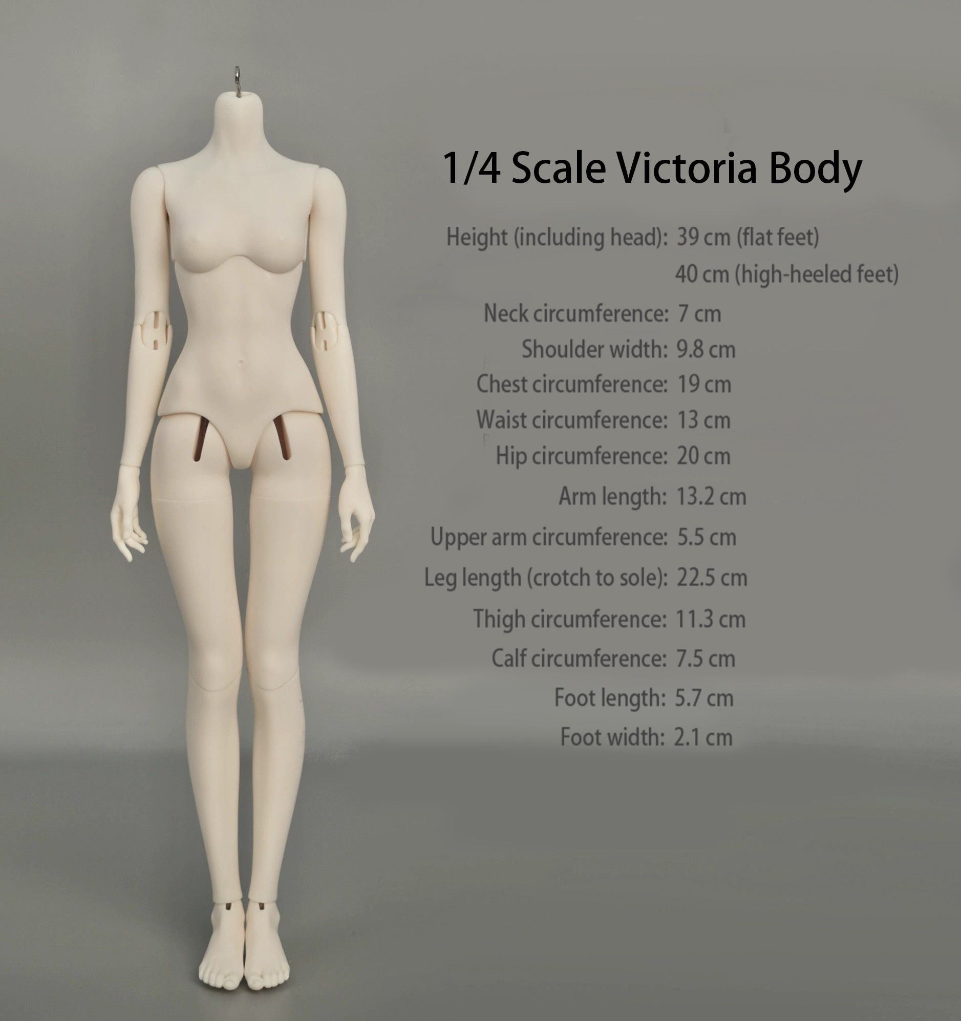 Premium 1/4 Victoria Curvy Female BJD Body, Stunning Curved Figure Unpainted Resin Blank Girl BJD Torso Only