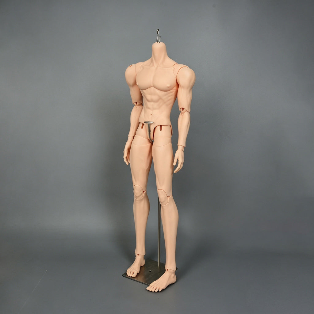 muscular 1/3 scale male BJD body with articulated joints, front standing view